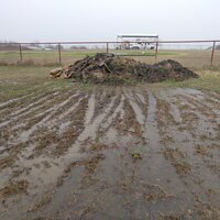 IMG_20200210_162844116.jpg