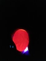 20200216_220246.jpg