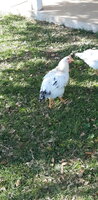 20200217_152323.jpg
