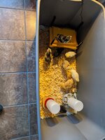 IMG_20200217_173554.jpg