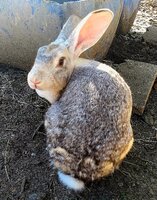 zcamera-20191110_142639~3.jpg