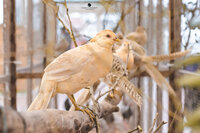 DSC_6621.jpg
