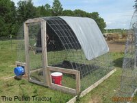 15sep9chix0882.jpg