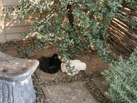 IMG_20190812_095119.jpg