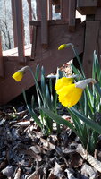 20200221_155954.jpg