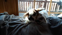 20200222_165412.jpg