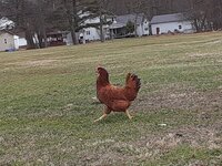 20200223_145451.jpg