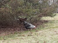 20200223_145145.jpg