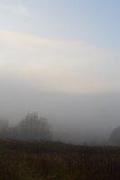 Misty morning 1.jpg