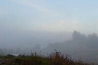 Misty morning.jpg