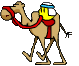 smiley camel.gif