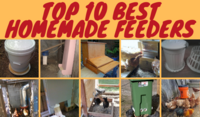 Top 10 Best Homemade Feeders