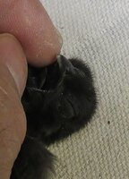 IMG_2380.JPG