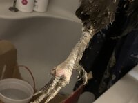 1C58A842-1F6A-44A5-9D57-4F96602C41D9.jpeg