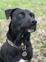 065E1029-2DF5-4D11-A084-75B334FF6FDB.jpeg