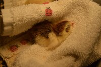 Cute 2.jpg Cute 2.jpg