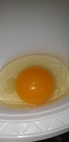 20200302_201226.jpg