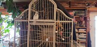 20200302_125418.jpg