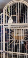 20200302_125408.jpg