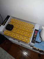 20200302_161256.jpg