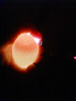 IMG_20200302_232233.jpg