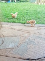20200303_173058.jpg