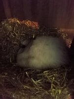 IMG_20200303_195255.jpg