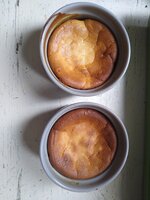 IMG_20200303_130109030.jpg