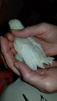 20200303_174727.jpg