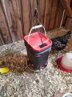 DIY Heated waterer