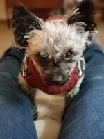 20190410_173741.jpg