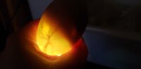 Eggs.jpg