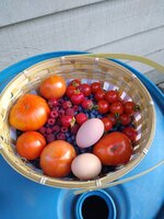 IMG_20190728_201120464.jpg