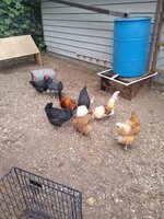 IMG_20190822_185406423.jpg