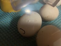 2F070B87-1169-4EC9-B78B-F9177ED036D3.jpeg