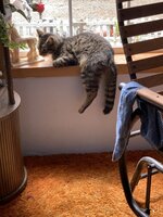 B2ADC071-67AF-4C17-B334-D923D11C32F4.jpeg