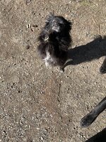 294162DF-EE03-45B4-87E1-FC43E8420D81.jpeg
