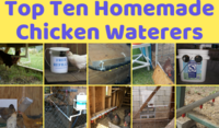 Top DIY Chicken Waterers