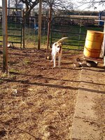 IMG_20200306_075646240.jpg