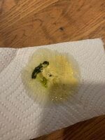 F5745167-67D8-4DA8-89C9-BC519EA0BB7B.jpeg
