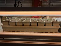 IMG_1637.jpg