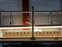 IMG_1638.jpg