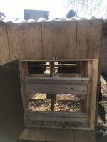 IMG_1677.JPEG IMG_1677.JPEG