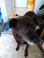 IMG_20200108_081625926.jpg