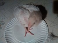 IMG_20200307_224536.jpg