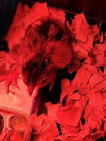 20200308_135357.jpg