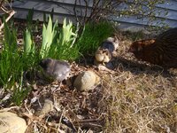 20200308_160057.jpg