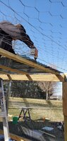 20200219_152815.jpg