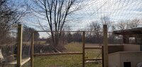 20200219_154453.jpg