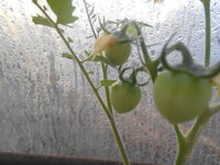 DSCN0387.JPG